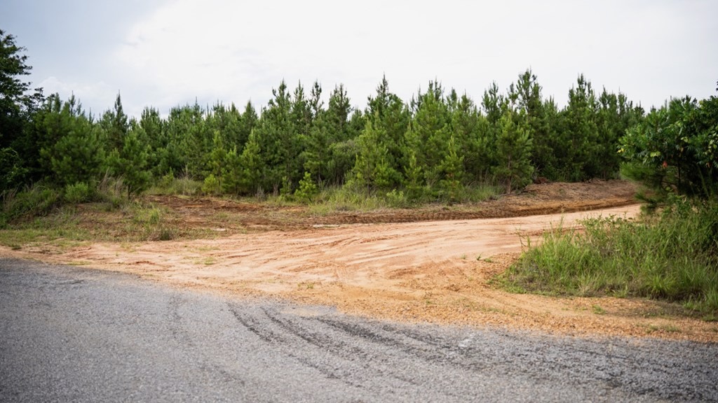 Mississippi Hunting Land – Easy 88 in Magnolia/Osyka