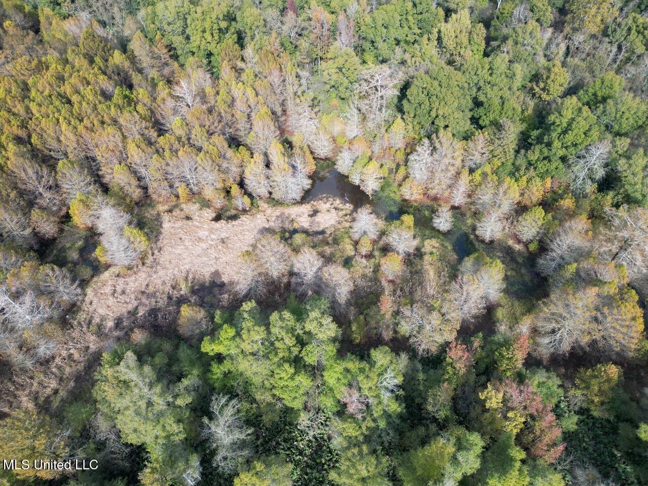 Tensas Parish LA – The Glade Hunting Property