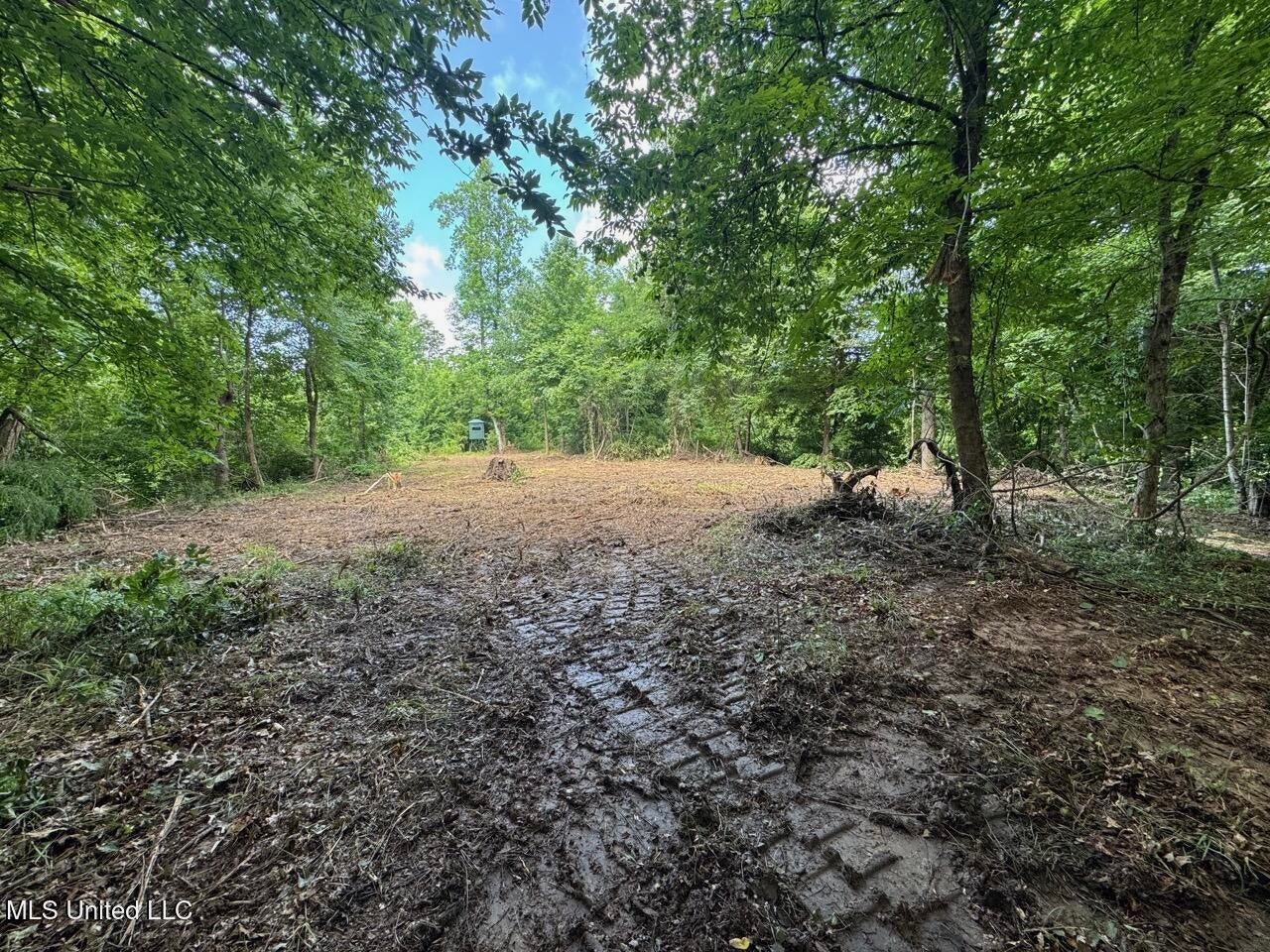 28+- Acres for Sale in Natchez, MS