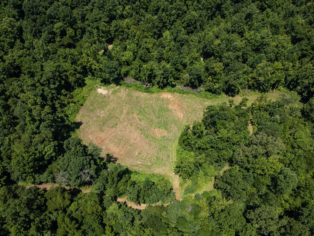 Hunting Land in Claiborne County, MS – Lonesome Pine