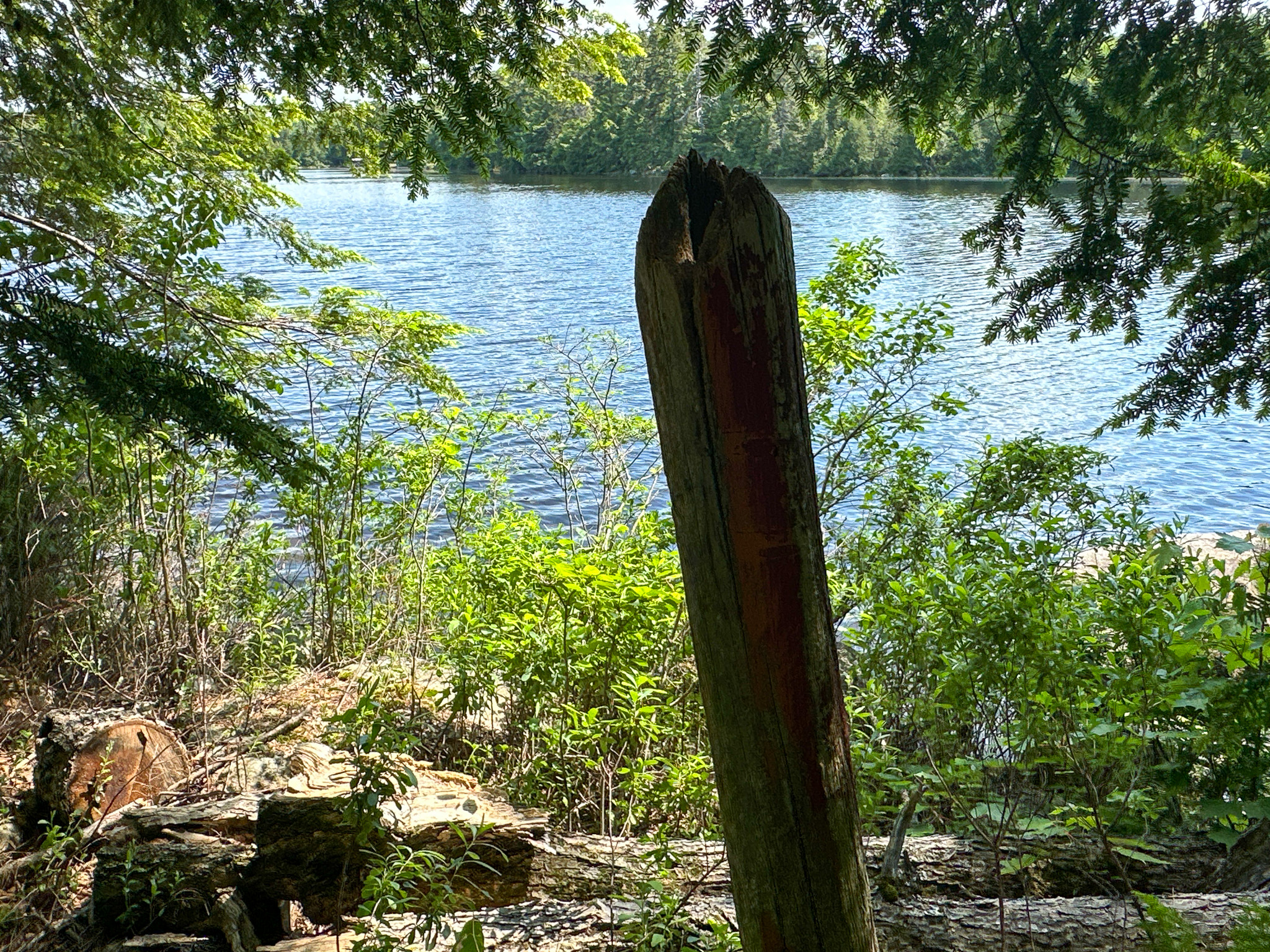Lakefront Land for Sale – 12.52 Acres with 355 Feet of Shoreline