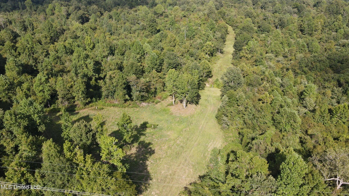 60 Acres For Sale In Yazoo County, MS