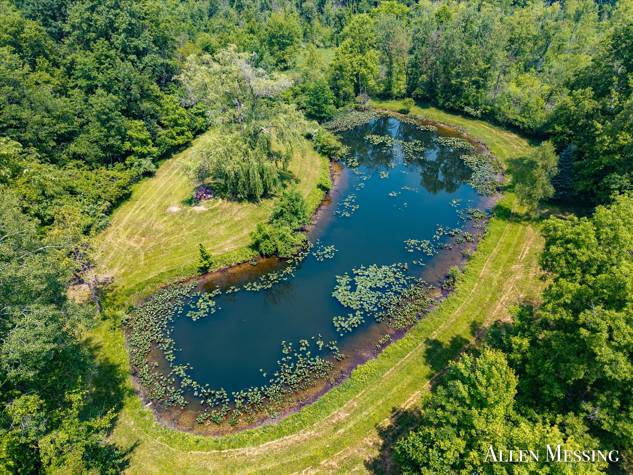 31+ Acre Property Excellent Hunting Habitat Allegan Cty MI