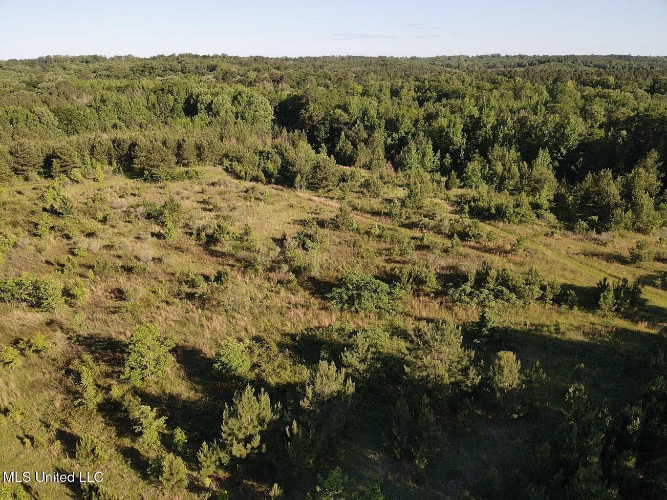 Great Homesite and Hunting Tract in Hermanville, MS