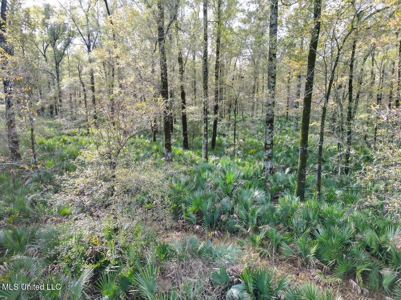 Tensas Parish LA – The Glade Hunting Property