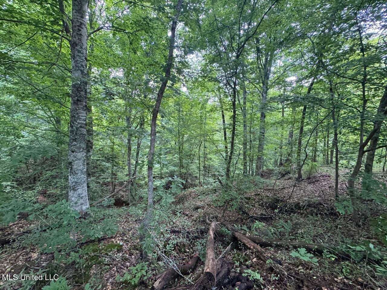 28+- Acres for Sale in Natchez, MS