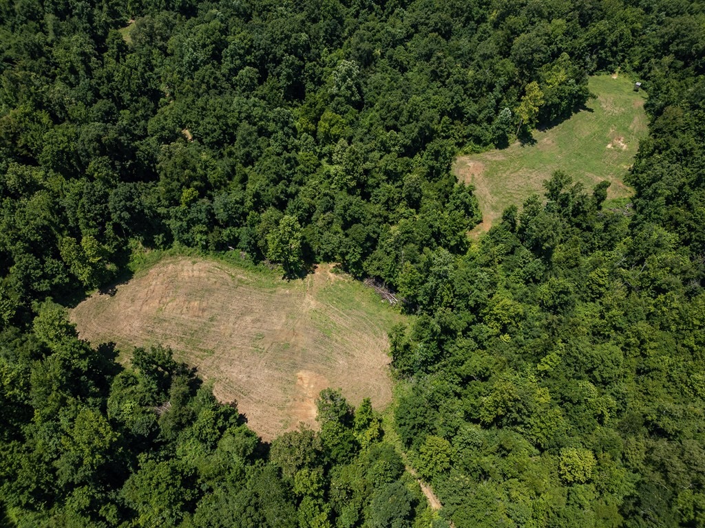 Hunting Land in Claiborne County, MS – Lonesome Pine