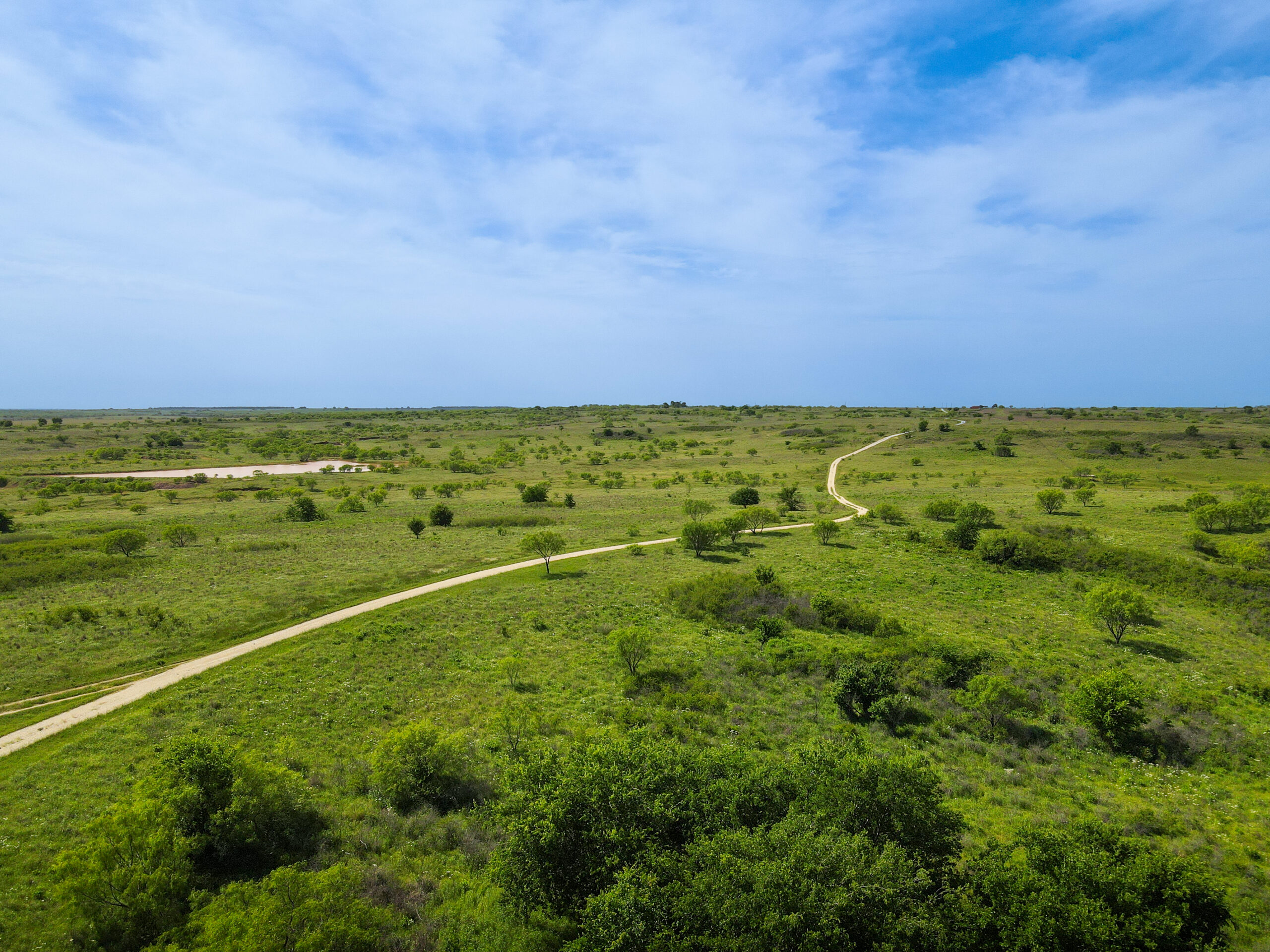 Exceptional Combination Ranch For Sale at Auction in Henrietta, TX