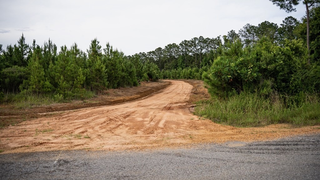 Mississippi Hunting Land – Easy 88 in Magnolia/Osyka