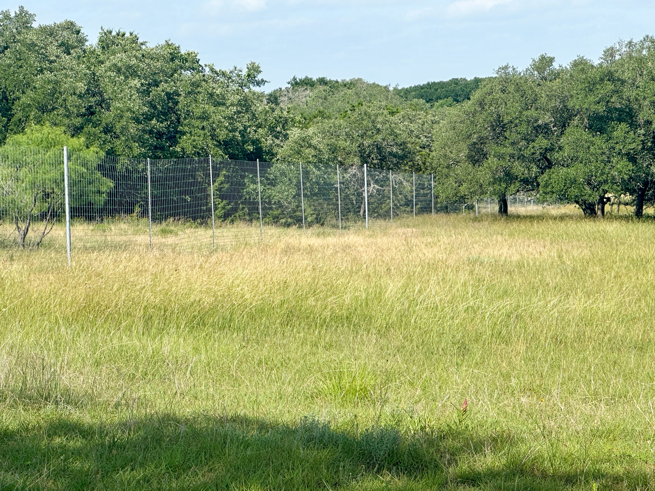 Own a Stunning Piece of Central Texas Land – Build, Hunt, or Escape