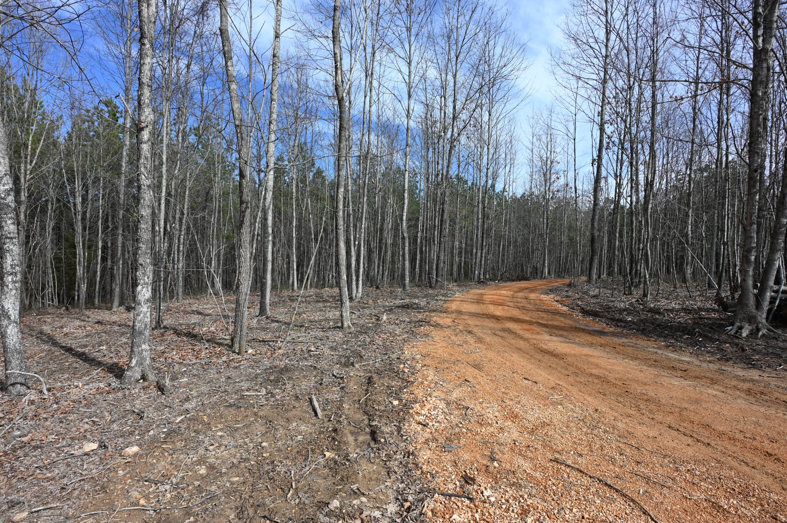 12.33 Acres Land for Sale in Perry County, Tennessee