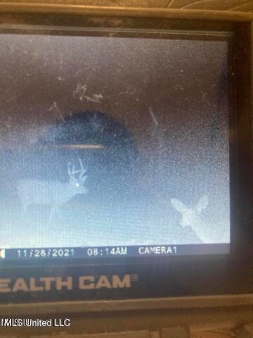 60 Acres For Sale In Yazoo County, MS