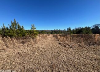 Great Homesite and Hunting Tract in Hermanville, MS