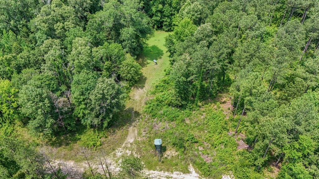 345 Acres with Camp, Creek bordering National Forest in SWMS