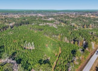 Land For Sale in Amite County, MS