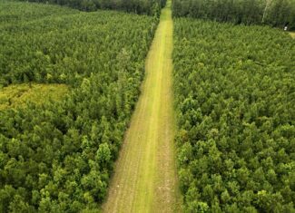 Mississippi Hunting Land – Easy 88 in Magnolia/Osyka