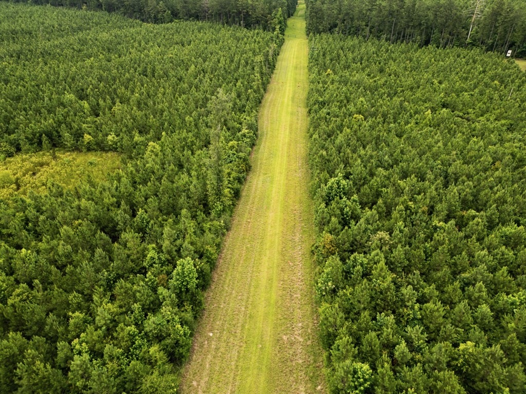 Mississippi Hunting Land – Easy 88 in Magnolia/Osyka
