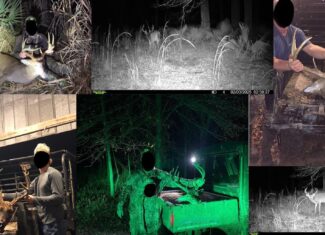 Tensas Parish LA – The Glade Hunting Property