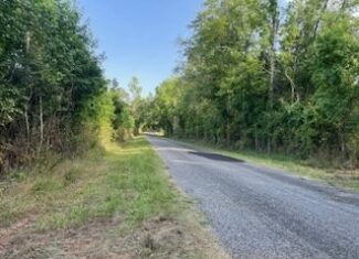 Small Hunting Tract FOR SALE in Amite County, MS