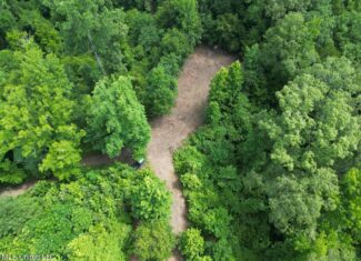28+- Acres for Sale in Natchez, MS