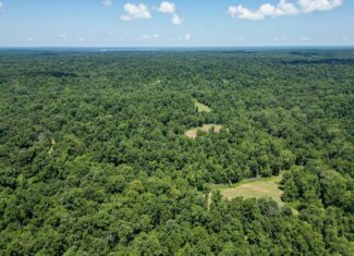 Hunting Land in Claiborne County, MS – Lonesome Pine