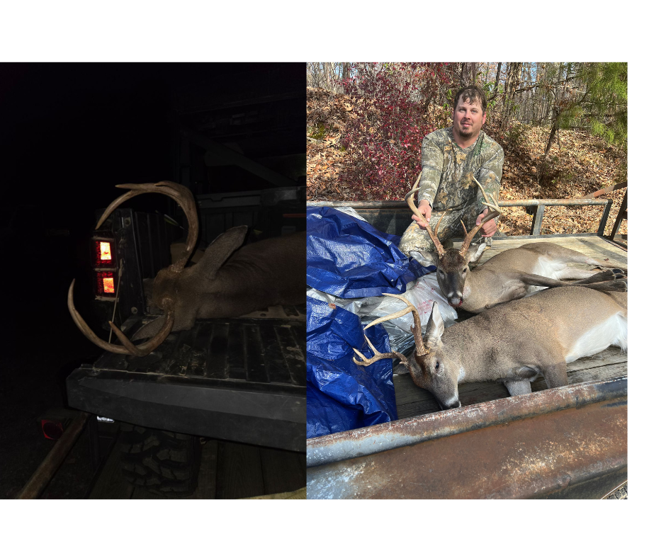 Hunting Land in Claiborne County, MS – Lonesome Pine
