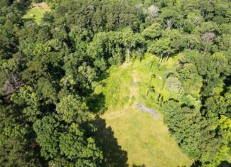 Clinton 30 Acres for Sale – Rural Land Near Baton Rouge, LA