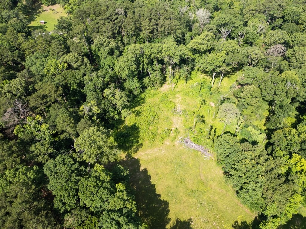 Clinton 30 Acres for Sale – Rural Land Near Baton Rouge, LA