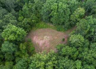 Hunting Land for Sale in Hinds County, MS