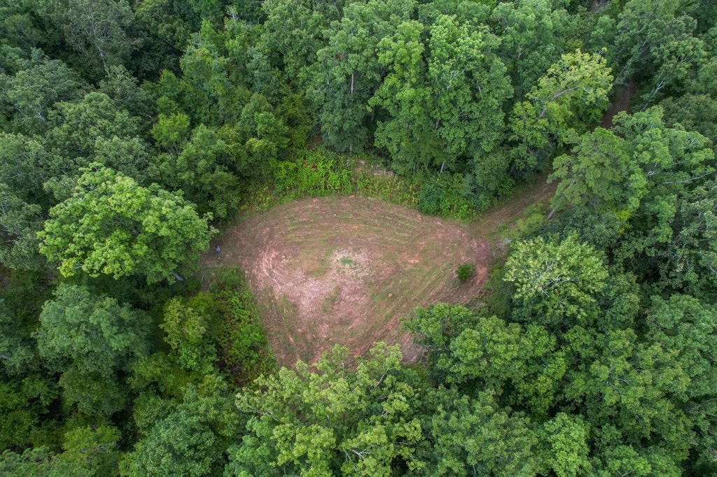 Hunting Land for Sale in Hinds County, MS