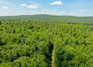 Lakefront Land for Sale – 12.52 Acres with 355 Feet of Shoreline