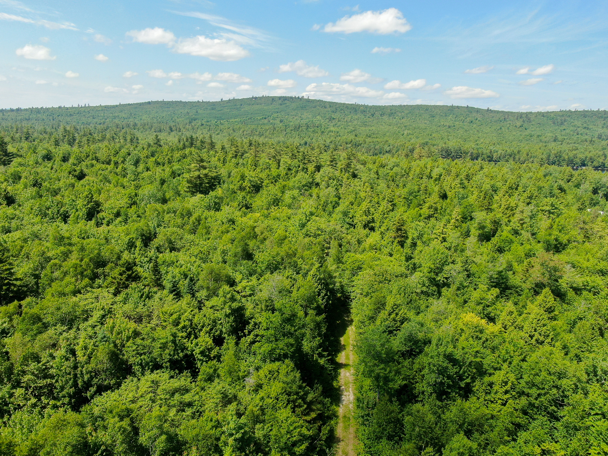 Lakefront Land for Sale – 12.52 Acres with 355 Feet of Shoreline