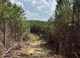 52 Acre Homesite Madison County Camden, MS