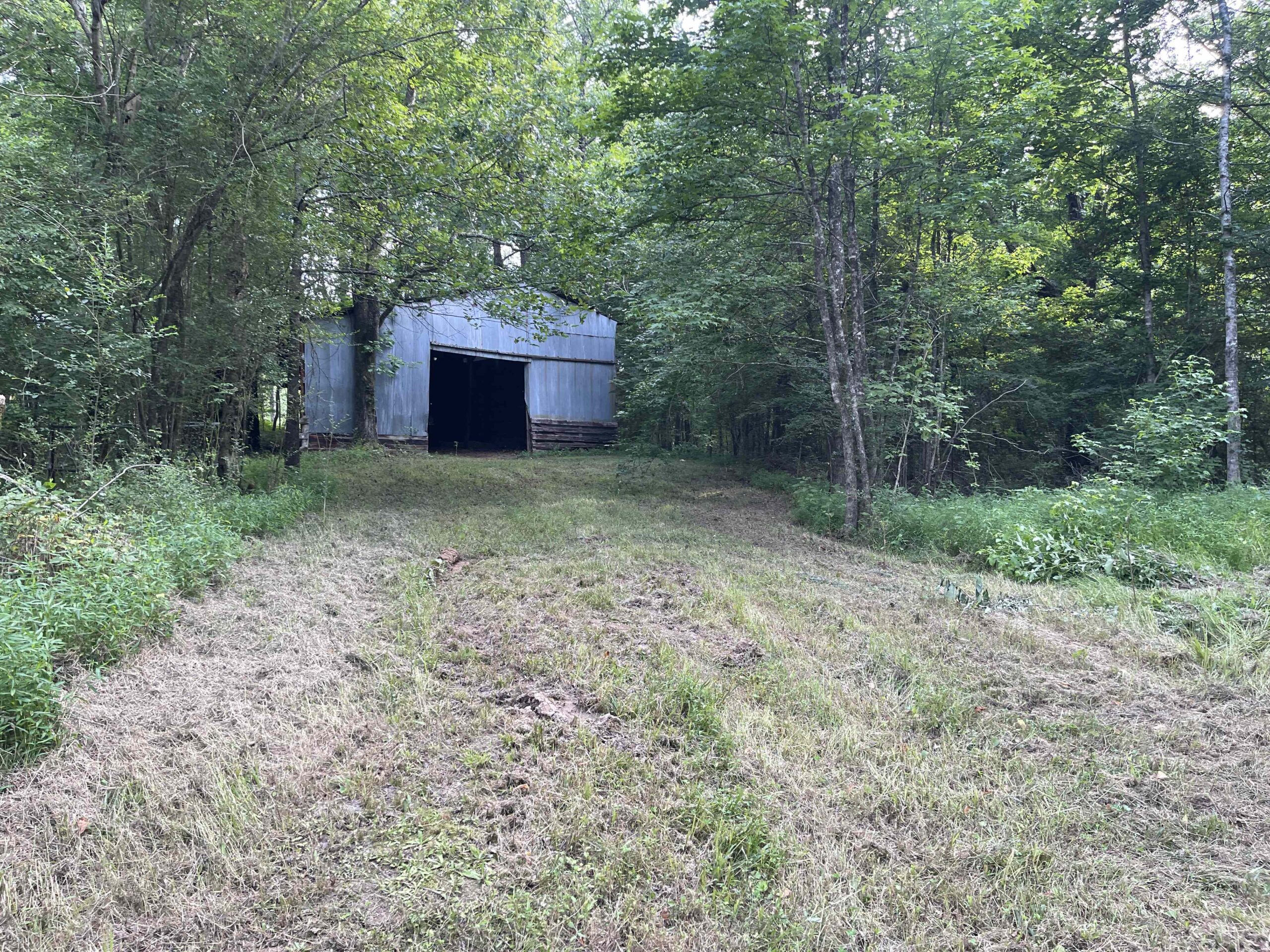 HUNTING LAND WITH SPRING / CREEK IN HARDIN COUNTY, 100 ACRES+/-