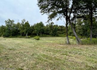 60 Acres For Sale In Yazoo County, MS