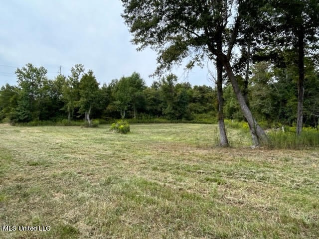 60 Acres For Sale In Yazoo County, MS