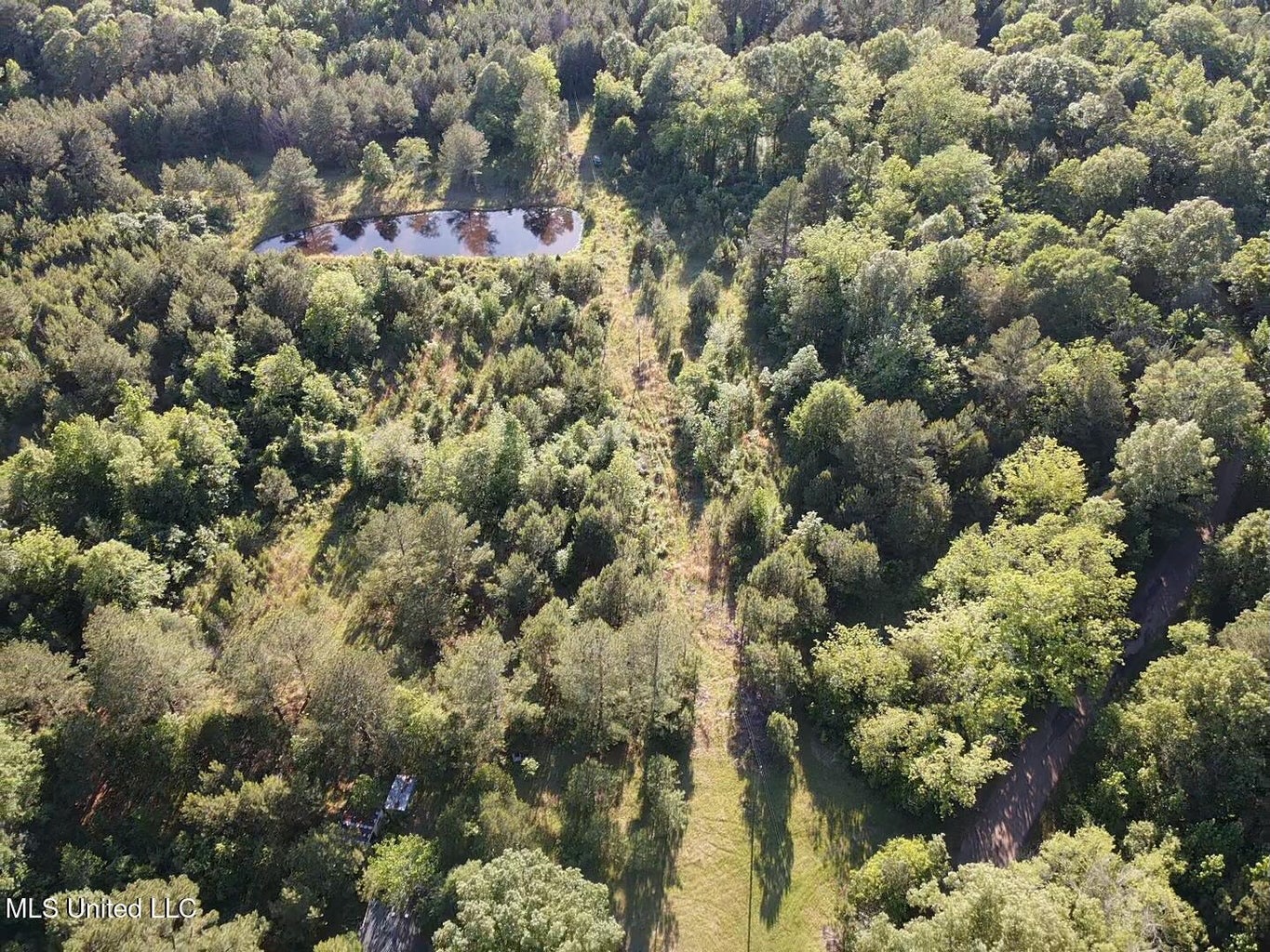 Great Homesite and Hunting Tract in Hermanville, MS