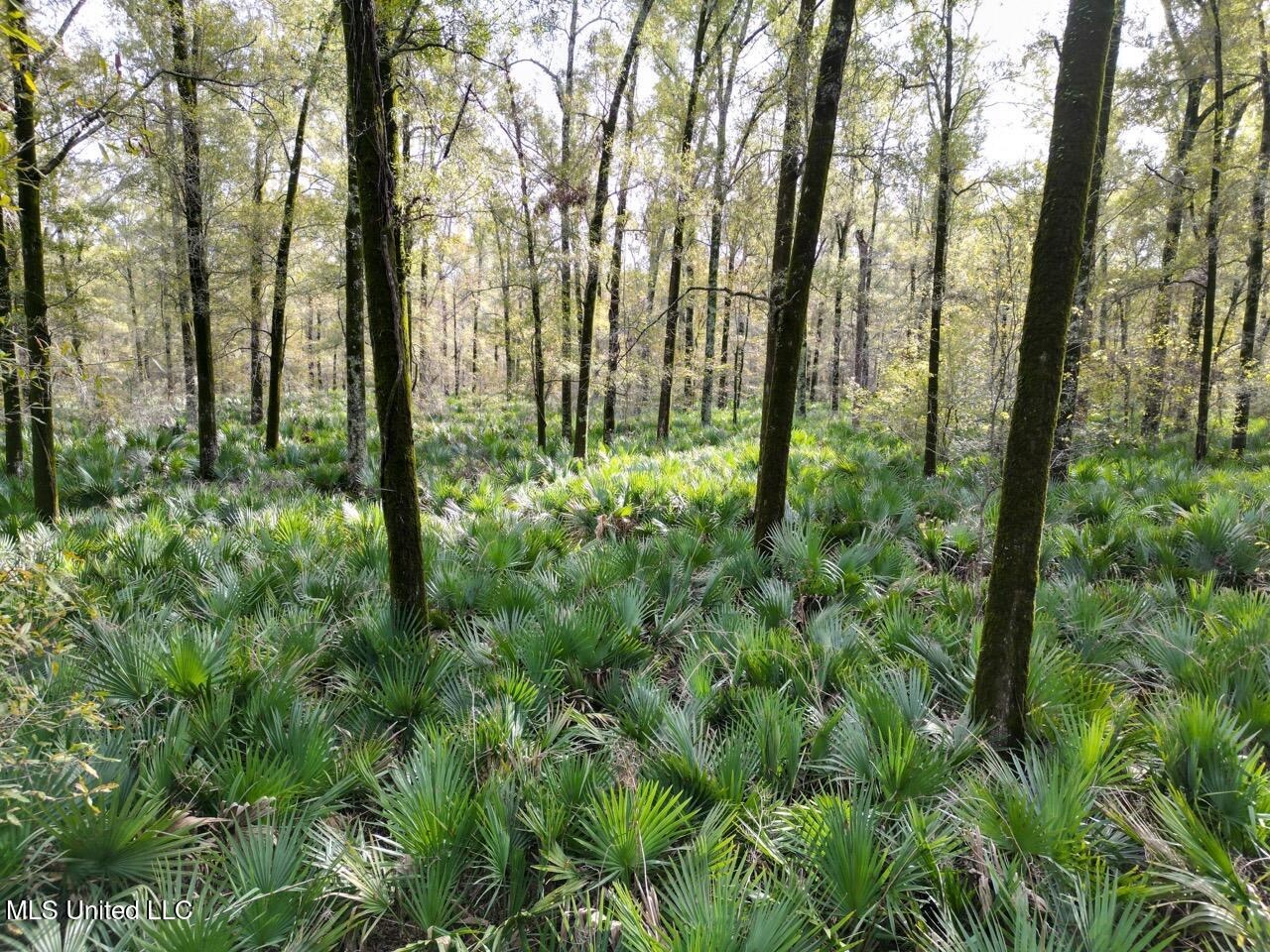 Tensas Parish LA – The Glade Hunting Property