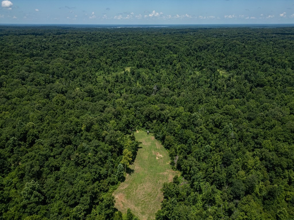 Hunting Land in Claiborne County, MS – Lonesome Pine