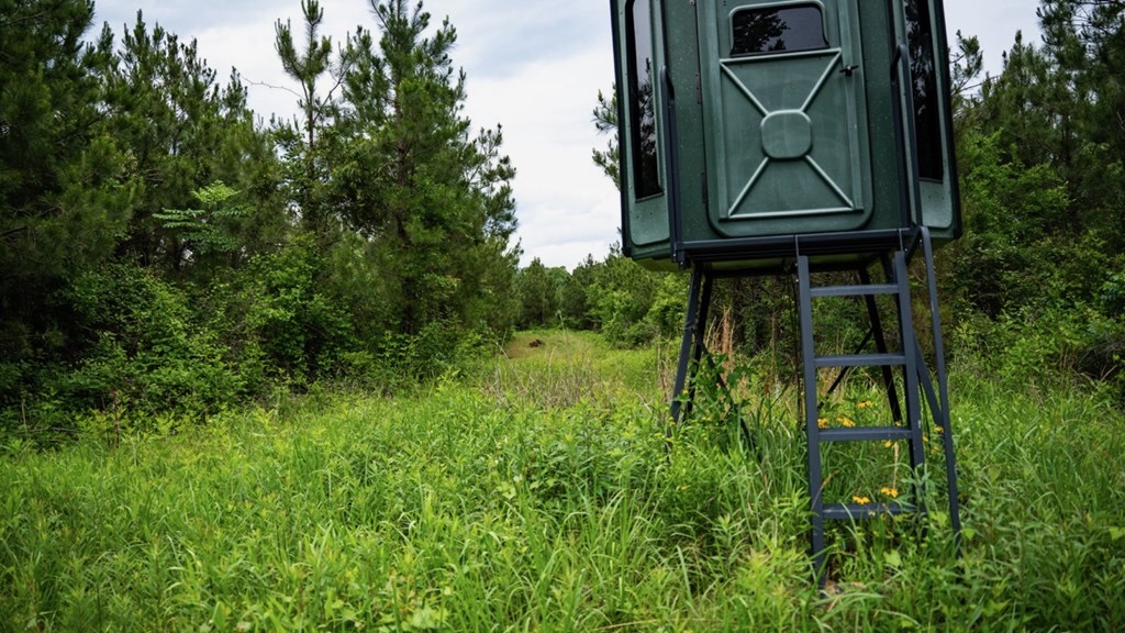 Hunting Land in Morehouse Parish, LA – Cypress Bayou 85