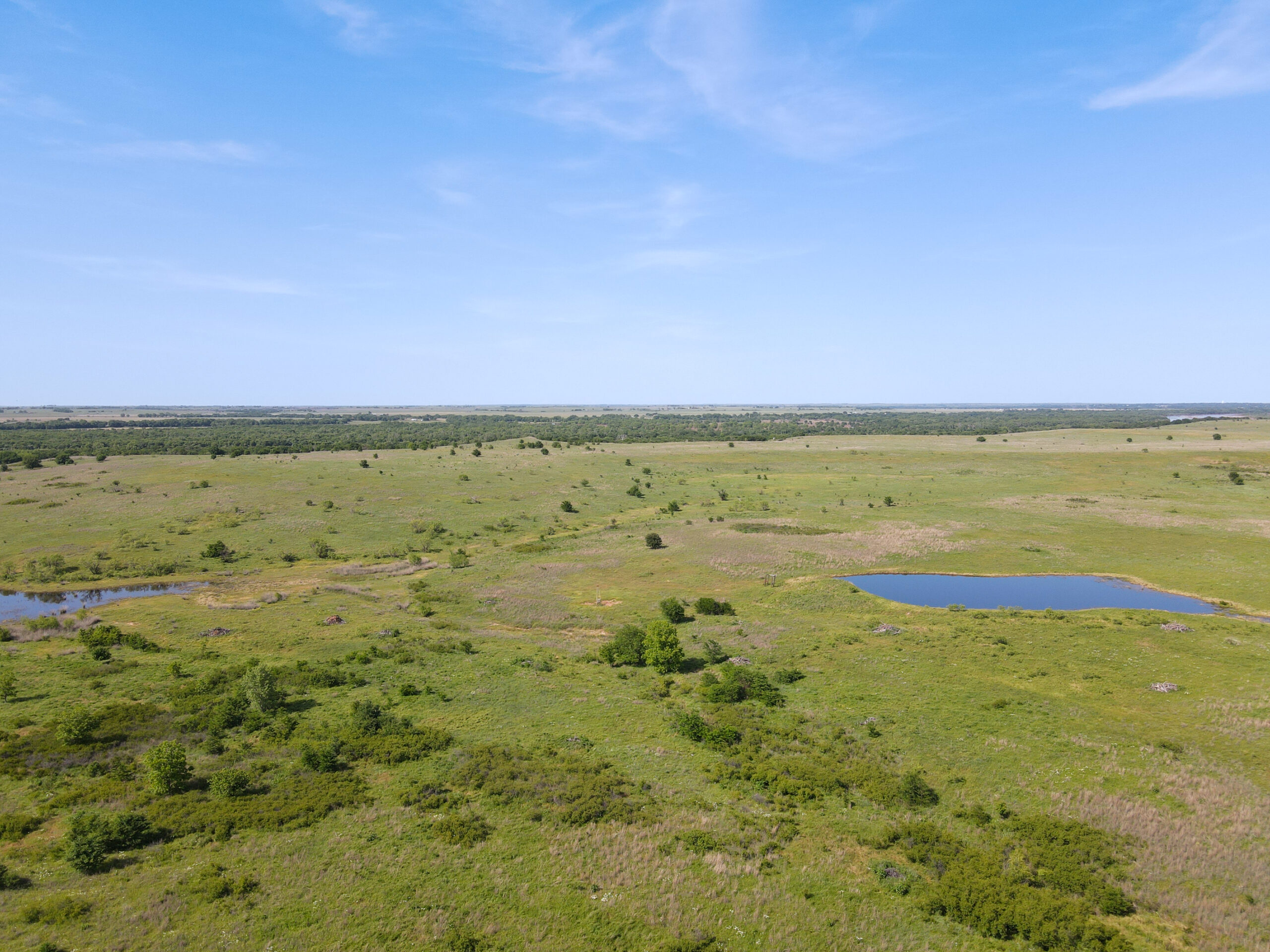 Exceptional Combination Ranch For Sale at Auction in Henrietta, TX