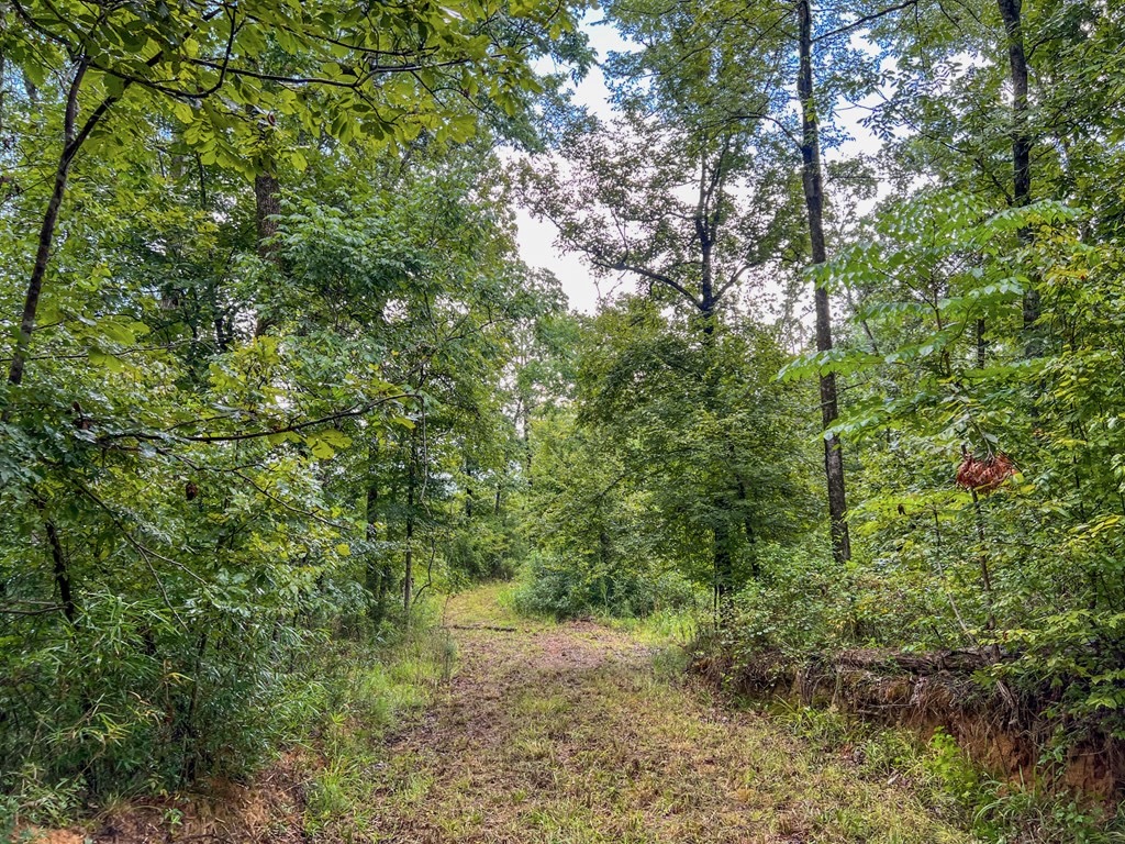 Hunting Land for Sale in Hinds County, MS