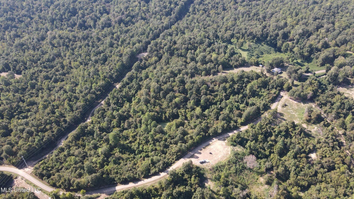 60 Acres For Sale In Yazoo County, MS