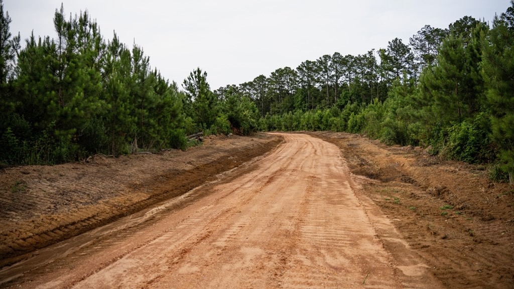 Mississippi Hunting Land – Easy 88 in Magnolia/Osyka