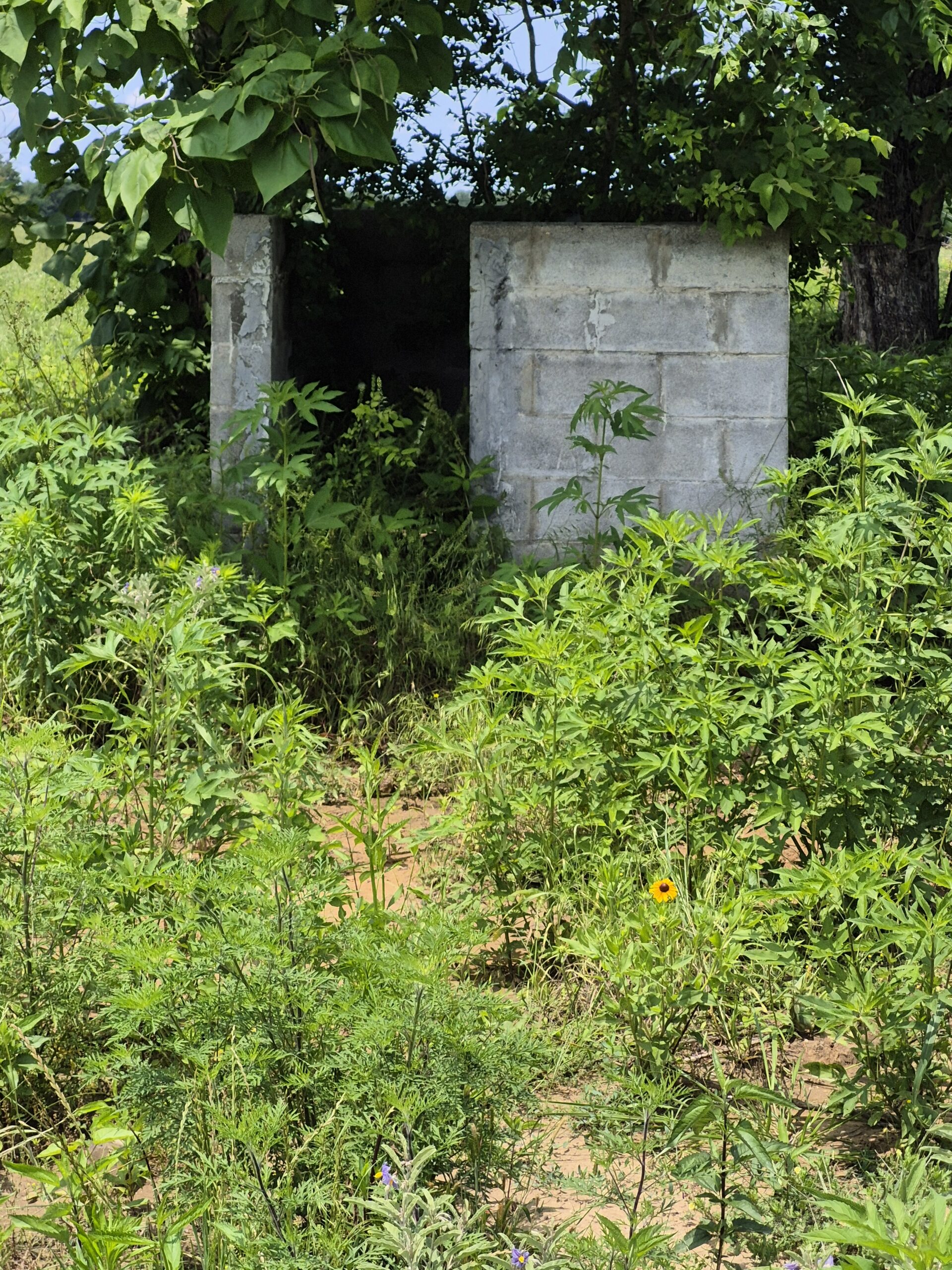 Recreational hunters dream location Bennington OK