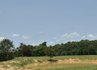 Recreational hunters dream location Bennington OK