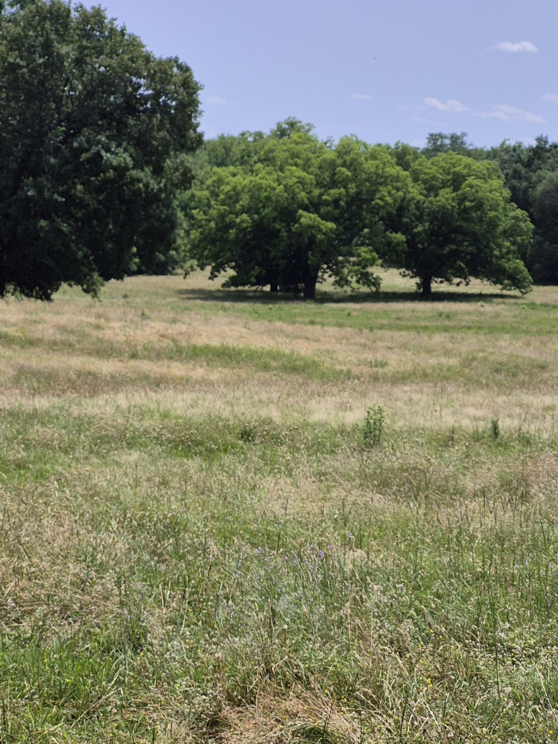 Recreational hunters dream location Bennington OK