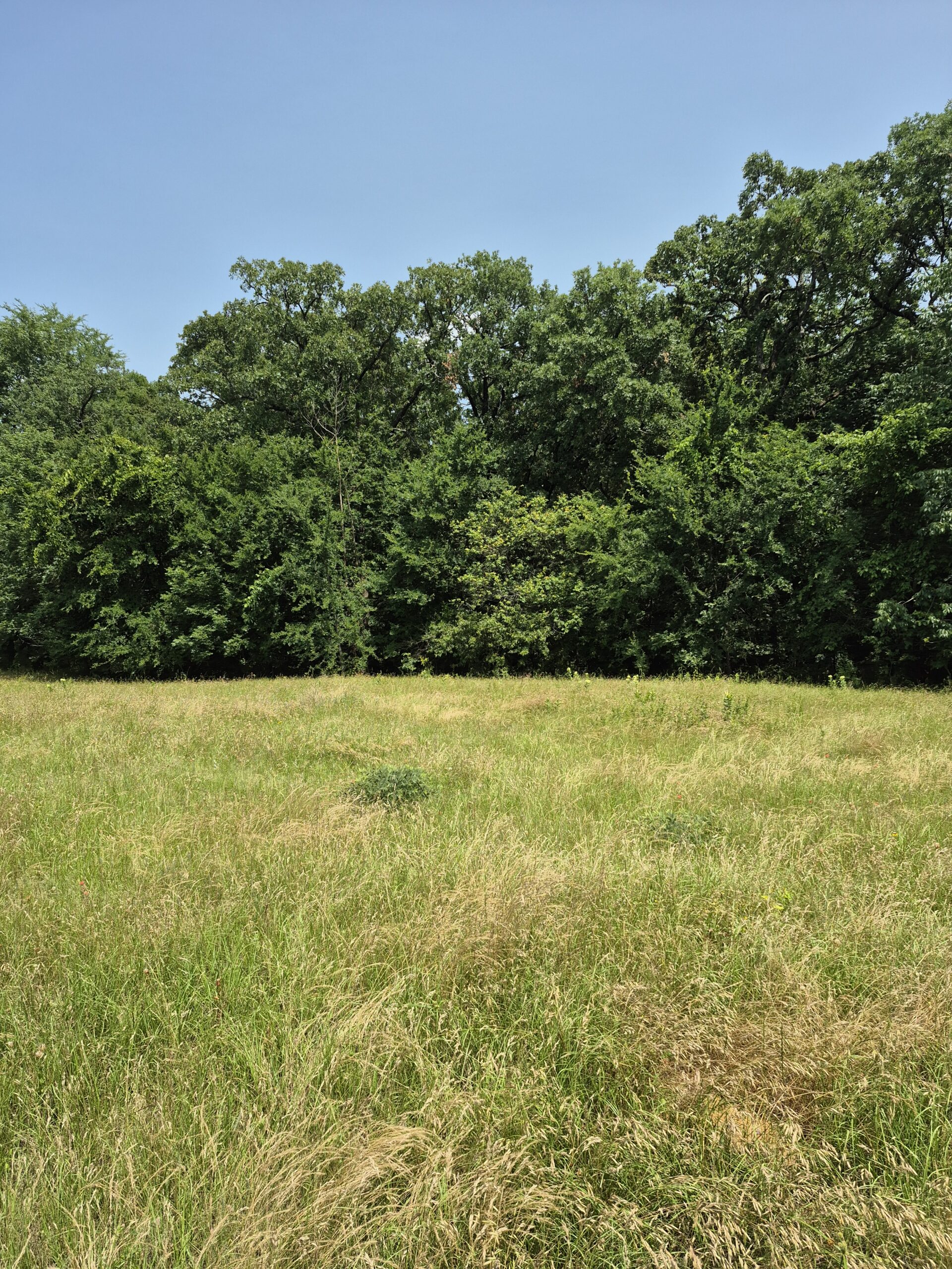 Recreational hunters dream location Bennington OK