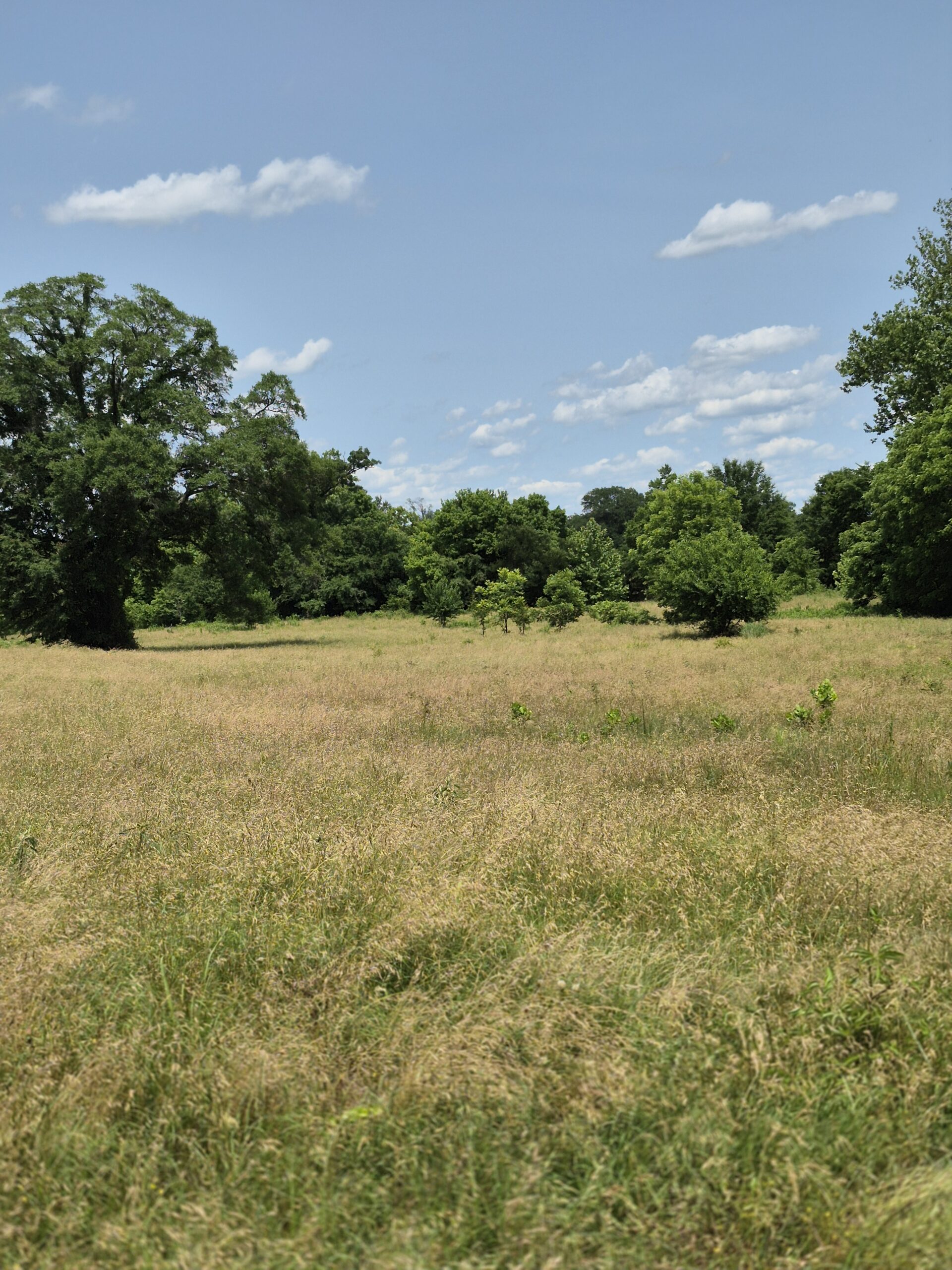 Recreational hunters dream location Bennington OK