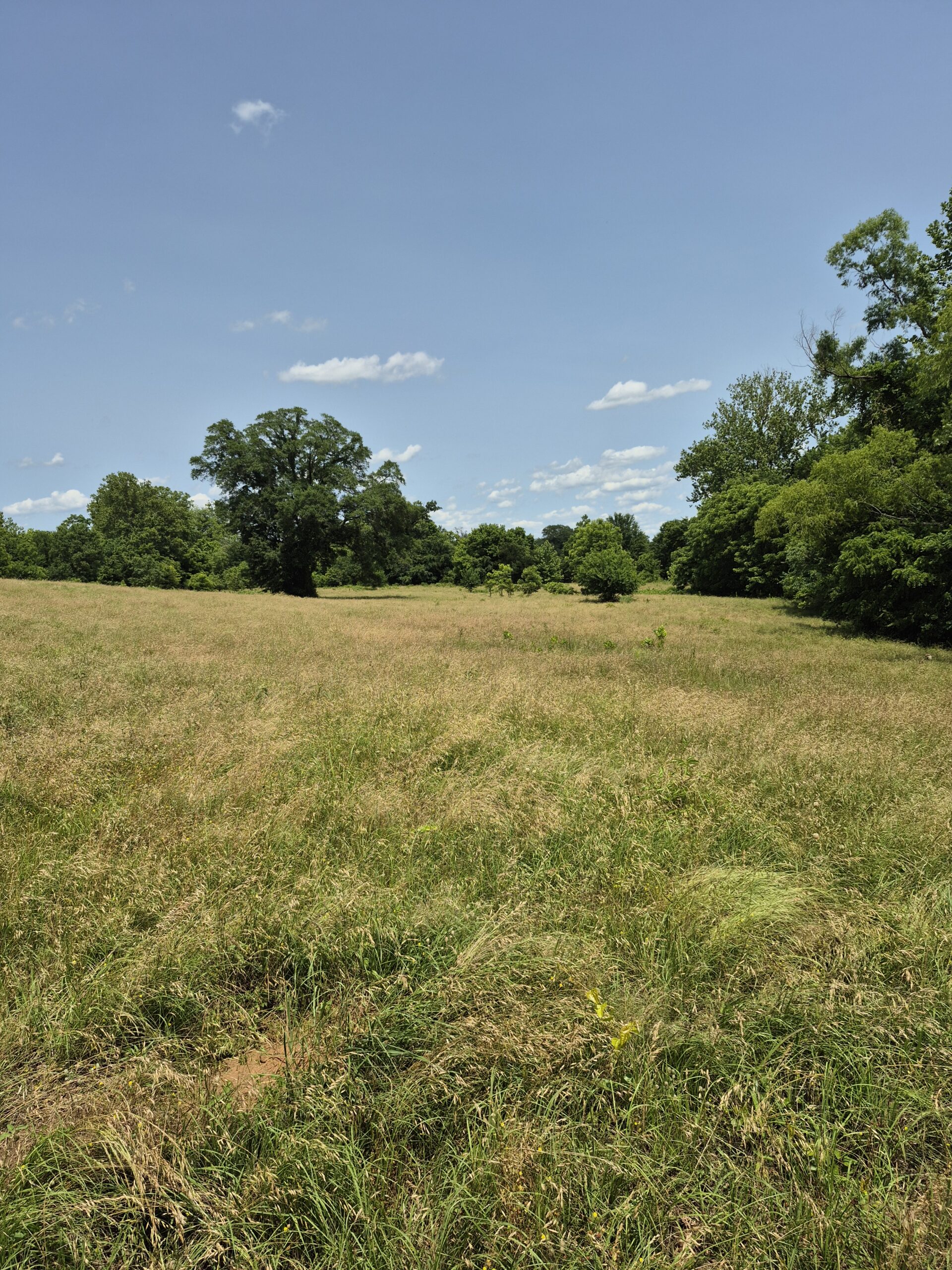 Recreational hunters dream location Bennington OK